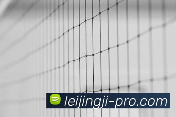 雷竞技 - 打造备受玩家信赖的电竞大数据深度分析门户APP 封面图